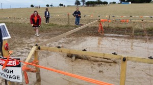 Grant - Lap 3, electric eel